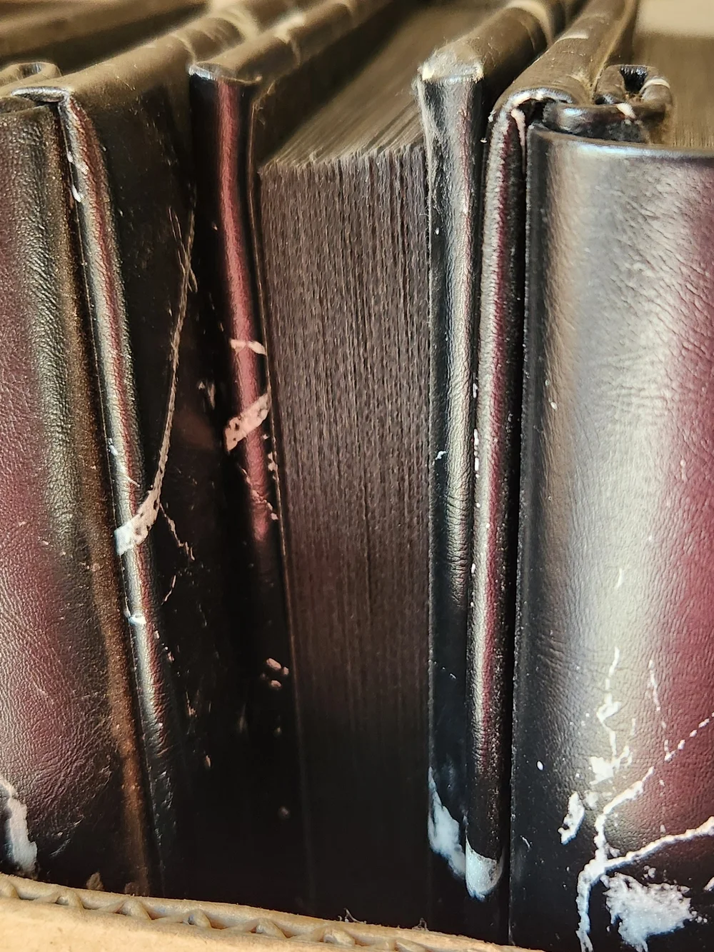 White And Black Photo Albums Holds 4x6 50 Pgs In Each Set Of 12
